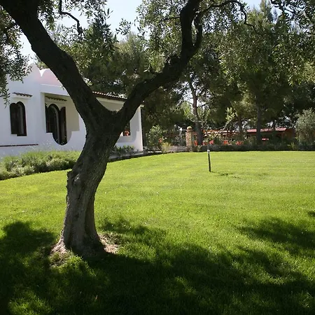 Villaggio Idra فيستَ